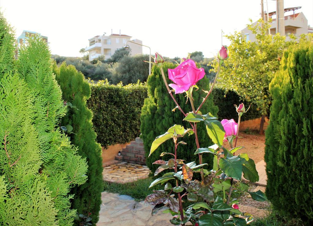 Helen'S Sounio Apartments Сунион Экстерьер фото