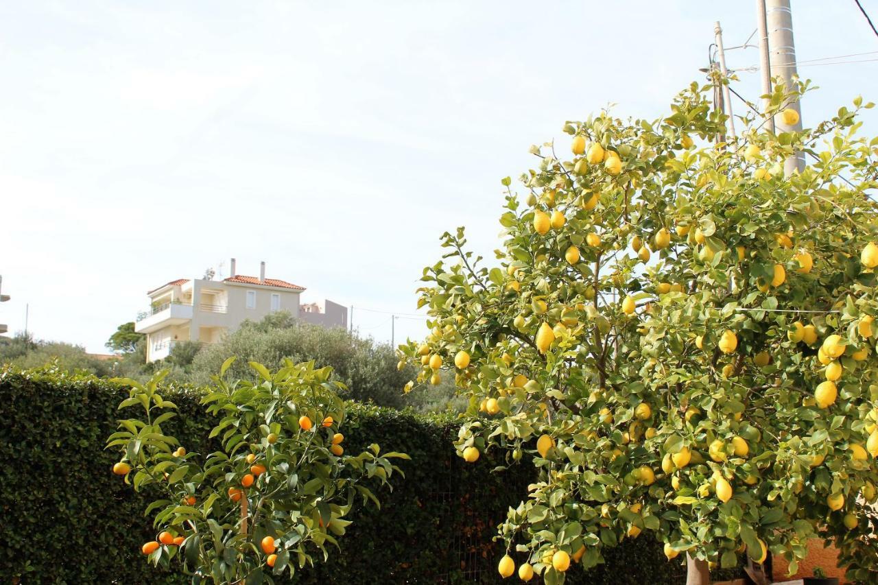 Helen'S Sounio Apartments Сунион Экстерьер фото